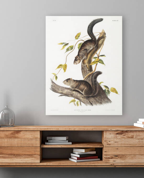 6182 John James Audubon  55 by artvi
