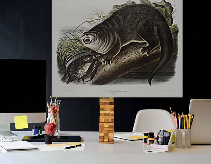 6182 John James Audubon  54 by artvi