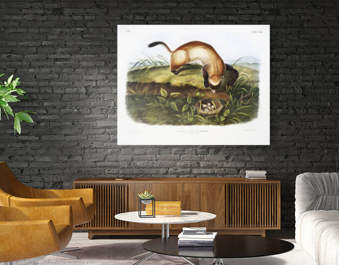 6182 John James Audubon  56 by artvi