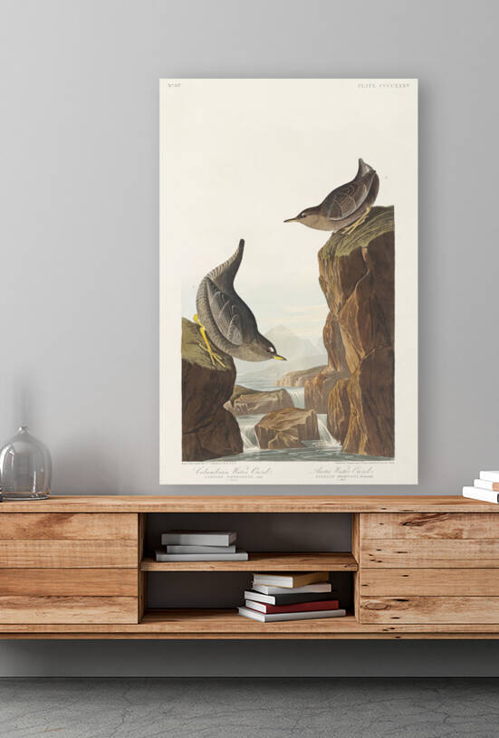 6182 John James Audubon  63 by artvi