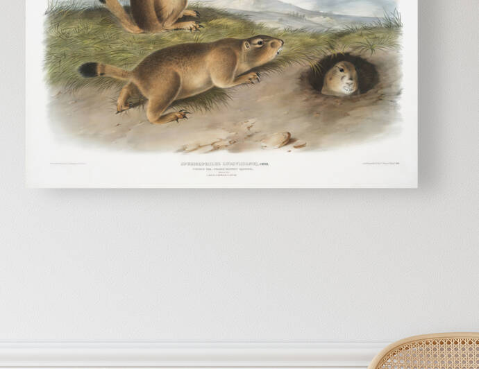 6182 John James Audubon  58 by artvi