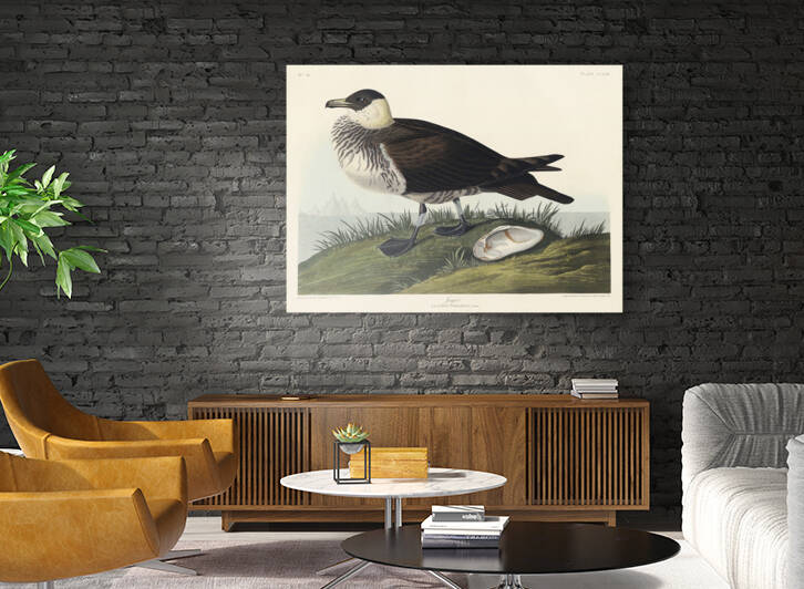 6182 John James Audubon  75 by artvi