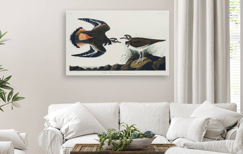 6182 John James Audubon  66 by artvi