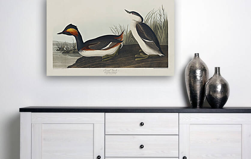 6182 John James Audubon  72 by artvi