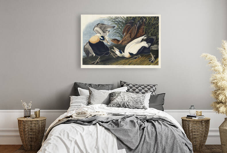 6182 John James Audubon  70 by artvi