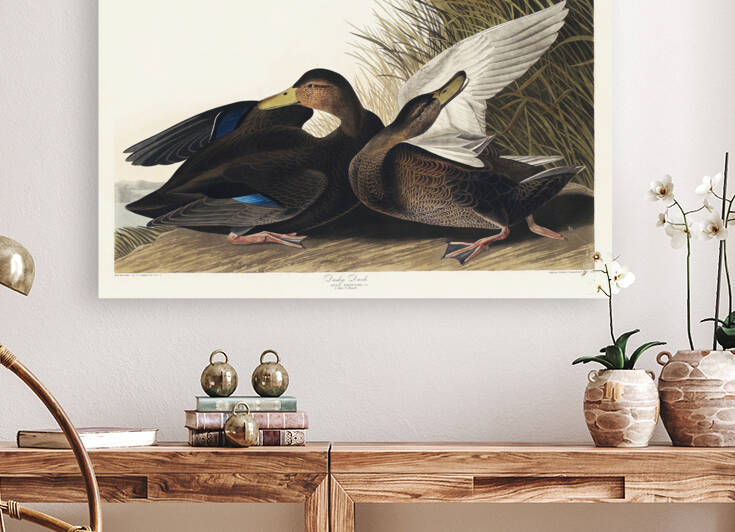 6182 John James Audubon  68 by artvi