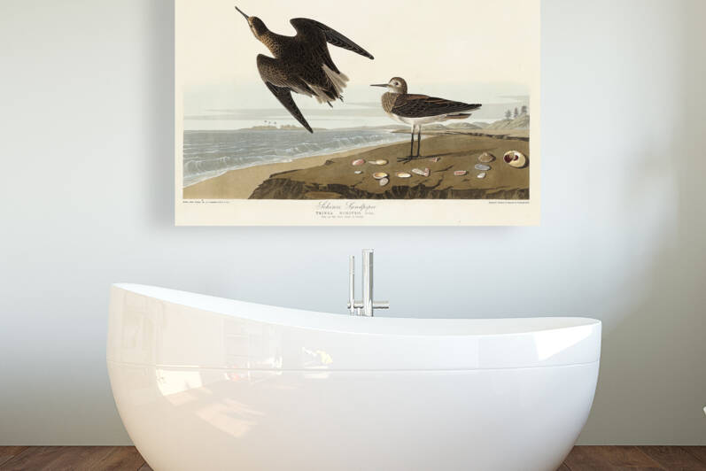 6182 John James Audubon  71 by artvi