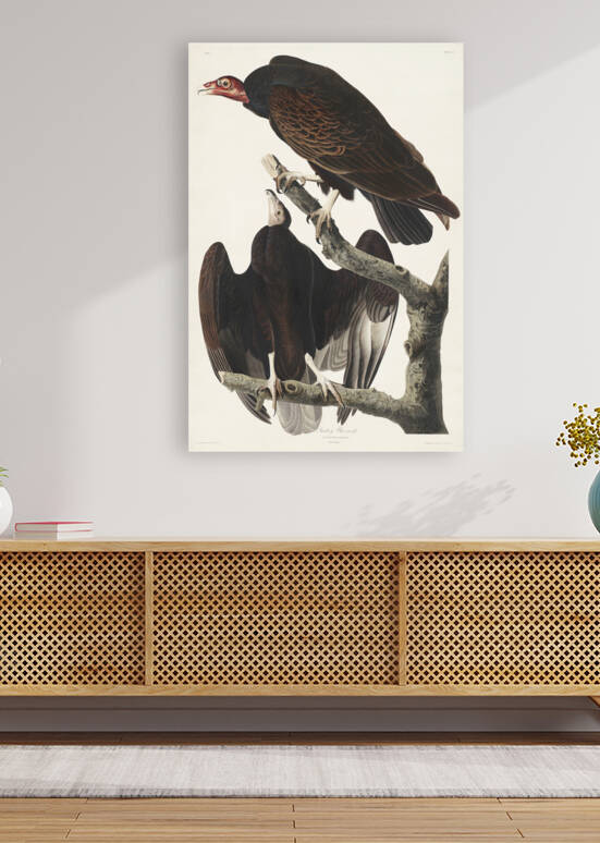 6182 John James Audubon  73 by artvi