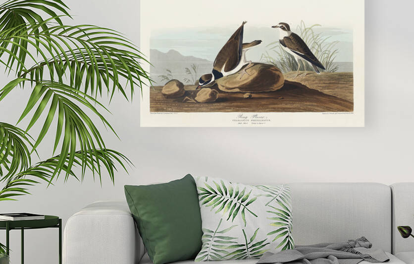6182 John James Audubon  87 by artvi