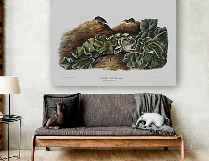 6182 John James Audubon  84 by artvi