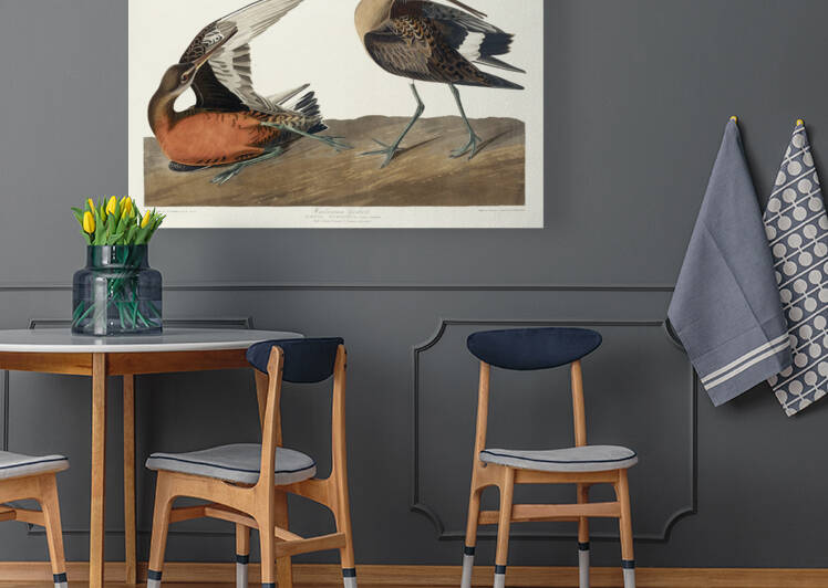 6182 John James Audubon  93 by artvi