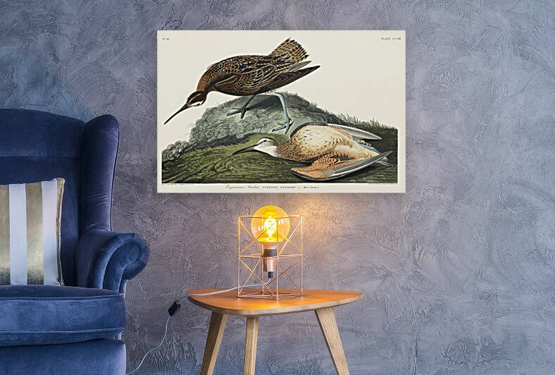 6182 John James Audubon  78 by artvi