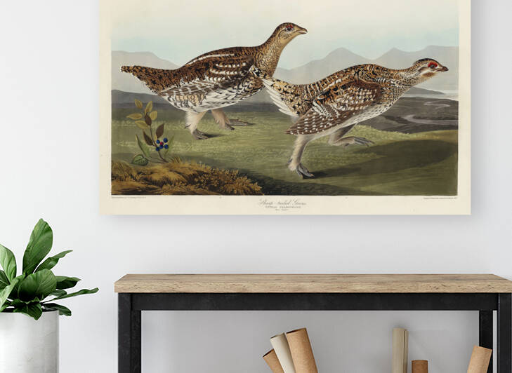 6182 John James Audubon  95 by artvi