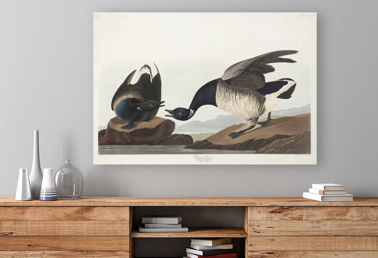 6182 John James Audubon  91 by artvi