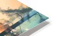 245 HD Metal print