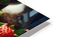 Strawberries studio lighting 9 HD Metal print