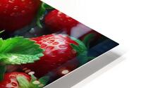 Strawberries studio lighting 21 HD Metal print
