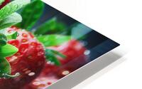 Strawberries studio lighting 22 HD Metal print