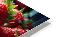 Strawberries studio lighting 20 HD Metal print