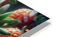 Strawberries studio lighting 4 HD Metal print