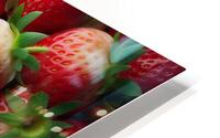 Strawberries studio lighting 15 HD Metal print