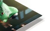 122 Green frog photography HD Metal print
