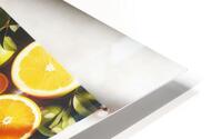 208 citrus banner HD Metal print