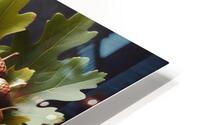 301 acorns and leaves on wooden table with copy s HD Metal print