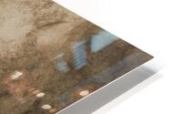 Turtle HD Metal print
