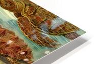 ernst haeckel illustrations HD Metal print