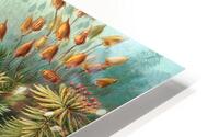 ernst haeckel illustrations HD Metal print