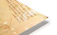 leonardo da vinci HD Metal print