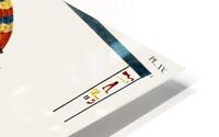 ancient egypt illustrations HD Metal print