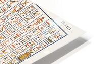 ancient egypt illustrations HD Metal print