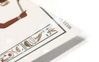 ancient egypt illustrations HD Metal print