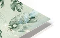 ernst haeckel HD Metal print