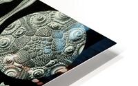 ernst haeckel HD Metal print