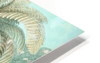 ernst haeckel HD Metal print
