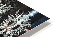 ernst haeckel HD Metal print