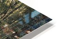 5580 Ivan Shishkin HD Metal print