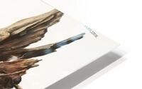 John James Audubon 4 HD Metal print