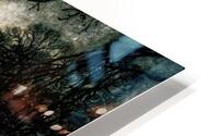 7692 Arthur Rackham HD Metal print