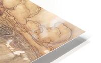 7697 Arthur Rackham HD Metal print