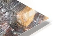 7944 the turtle shell HD Metal print