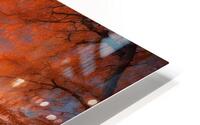 autumn landscape HD Metal print