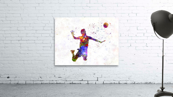 volleyball player Wall Preview