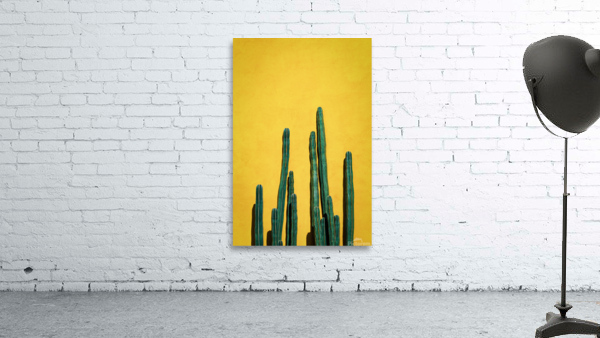 cactus II Wall Preview