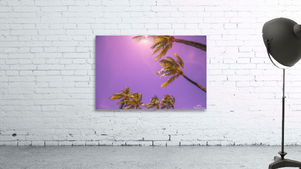 miami Wall Preview