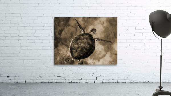 Turtle Wall Preview