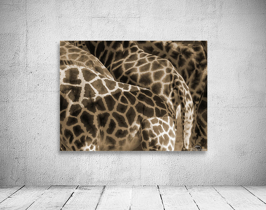 Giraffe Wall Preview
